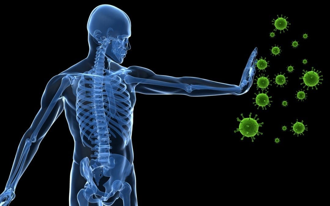 The Factors Of Increased Immunity