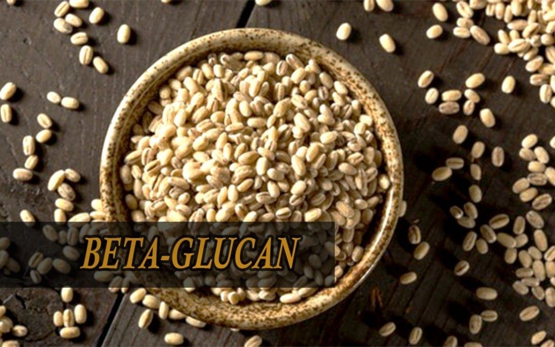 Beta-Glucan: il modulatore della salute immunitaria
