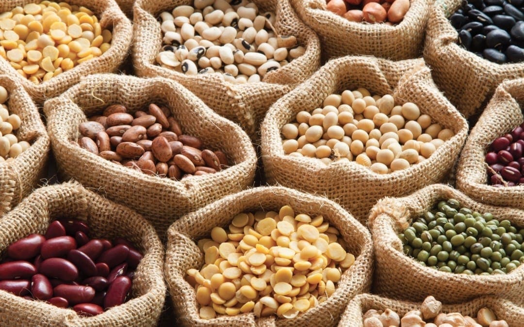 Safe to Eat Lectins & Harmful Lectins to Avoid | El Paso, TX Chiropractor