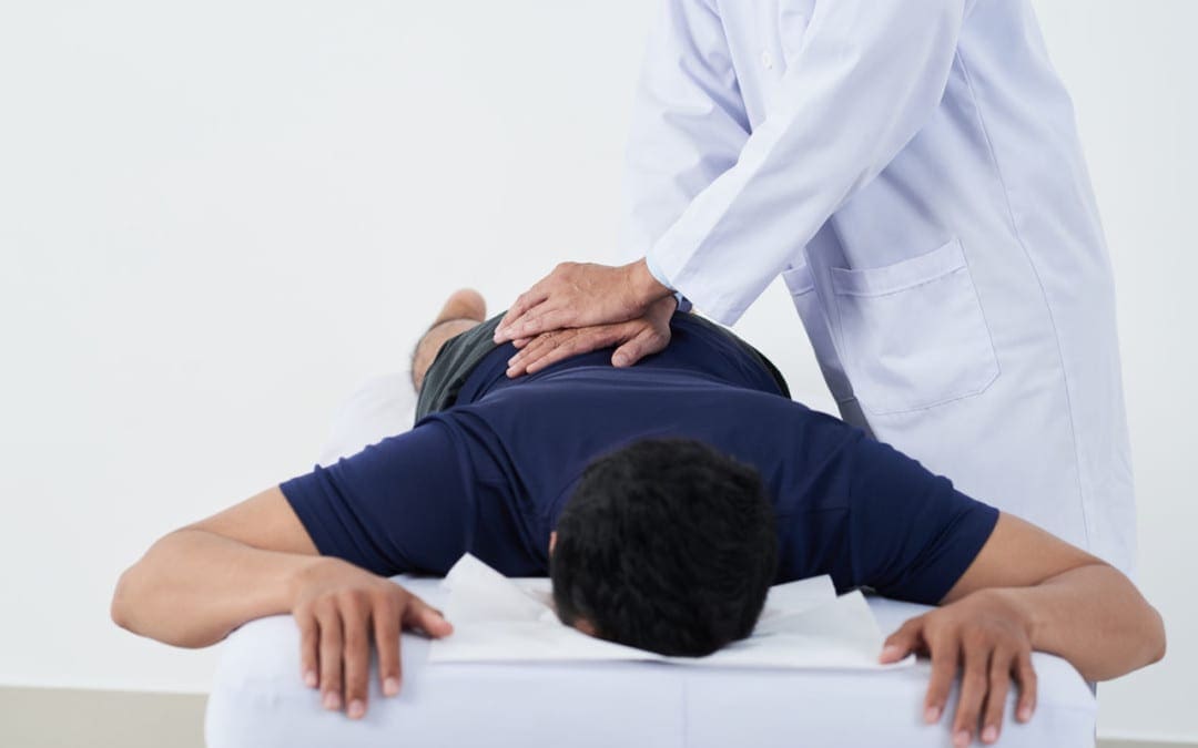 Chronic Back Vertebrogenic Pain and Vertebral Endplates