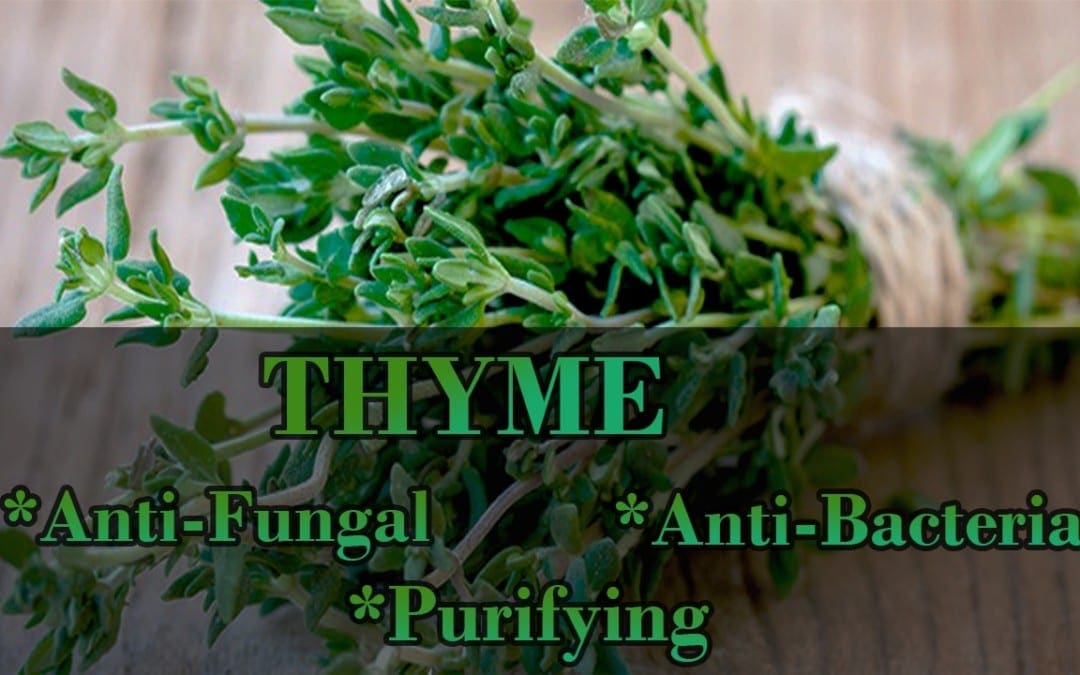 Thyme To Heal The Body