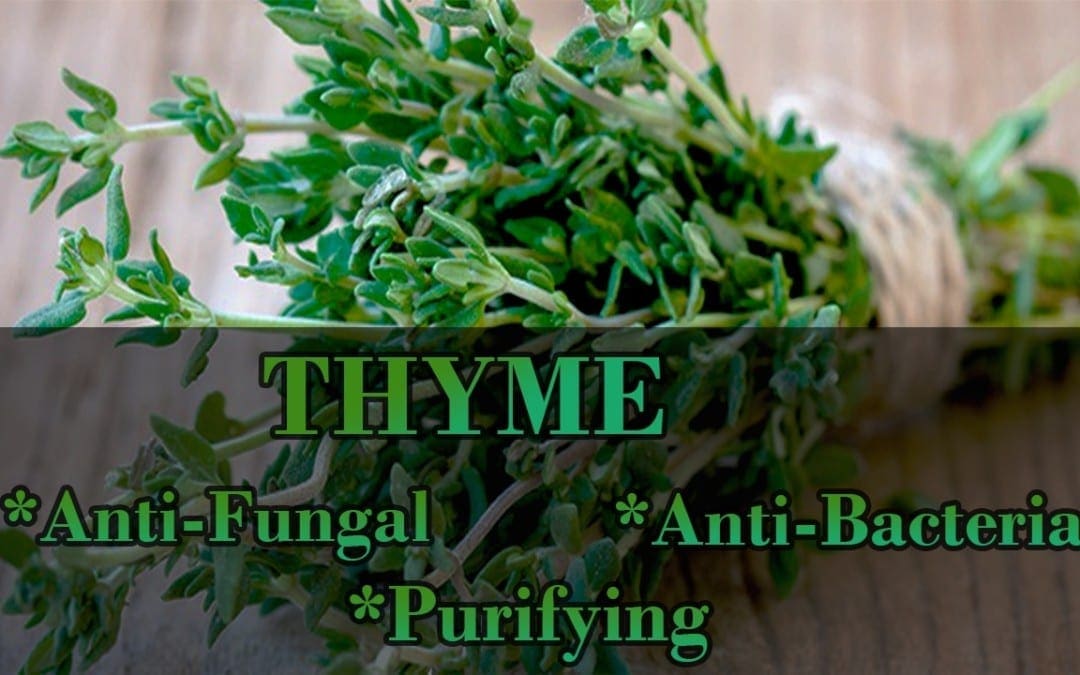 Thyme To Heal Body
