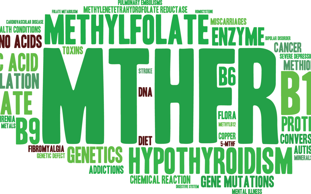MTHFR Gene Mutation and Health