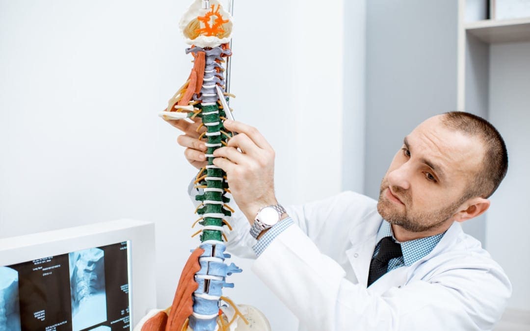 L'importanza della curvatura della colonna vertebrale