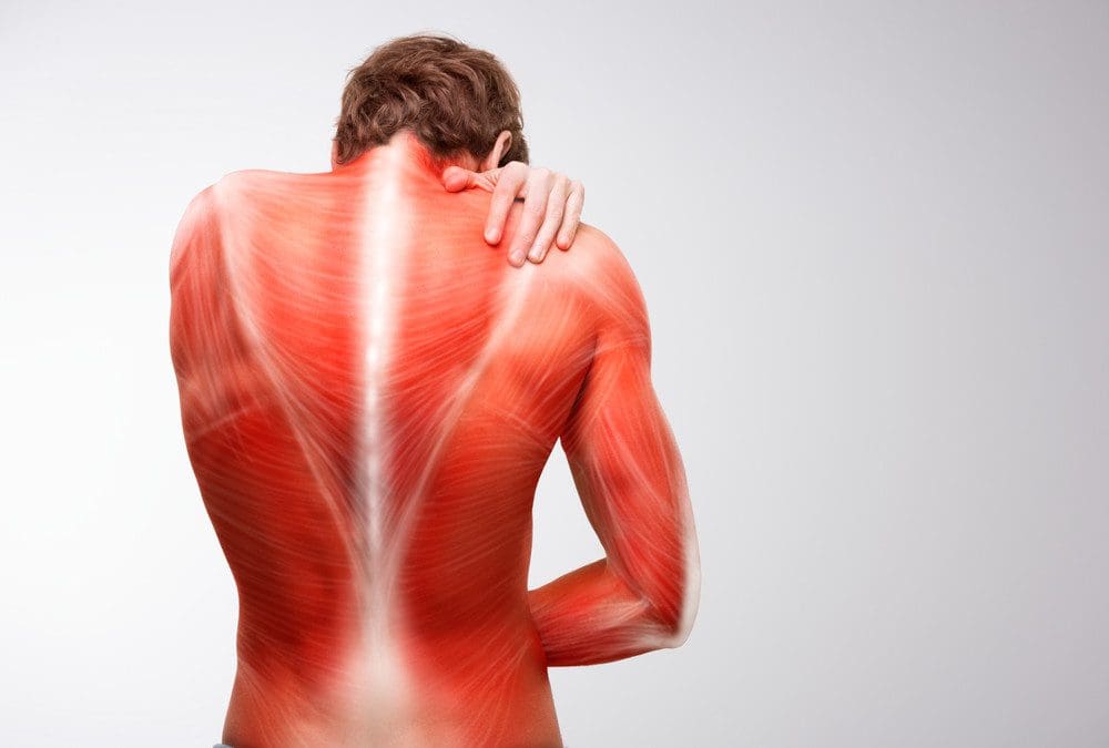 Muscle Inflammation Relieved By The MET Technique