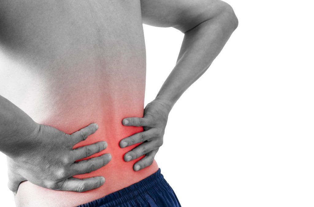 Trunk Muscle Response To Lumbar Traction Therapy