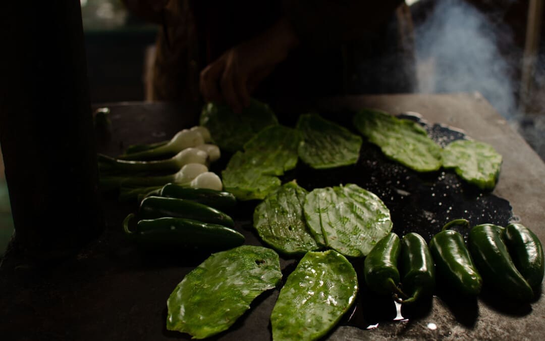 Scatena il potere di Nopal per la salute e il benessere