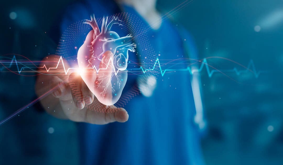 Chiropractic Care: Skeletal & Heart Health in Daily Wellness