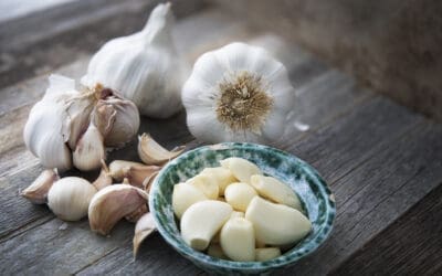Anti-Inflammatory Treatment Guide Using Garlic for Musculoskeletal Pain